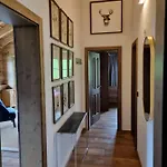 Daire Panorama